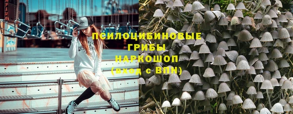 альфа пвп Армянск