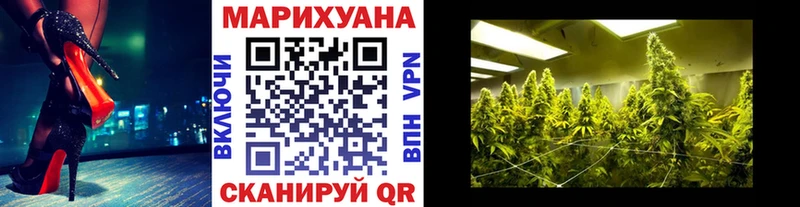 Каннабис планчик  Медынь 
